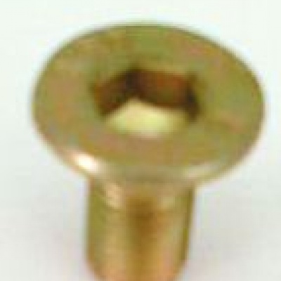 Surub M12x25-cositoare cu tambur